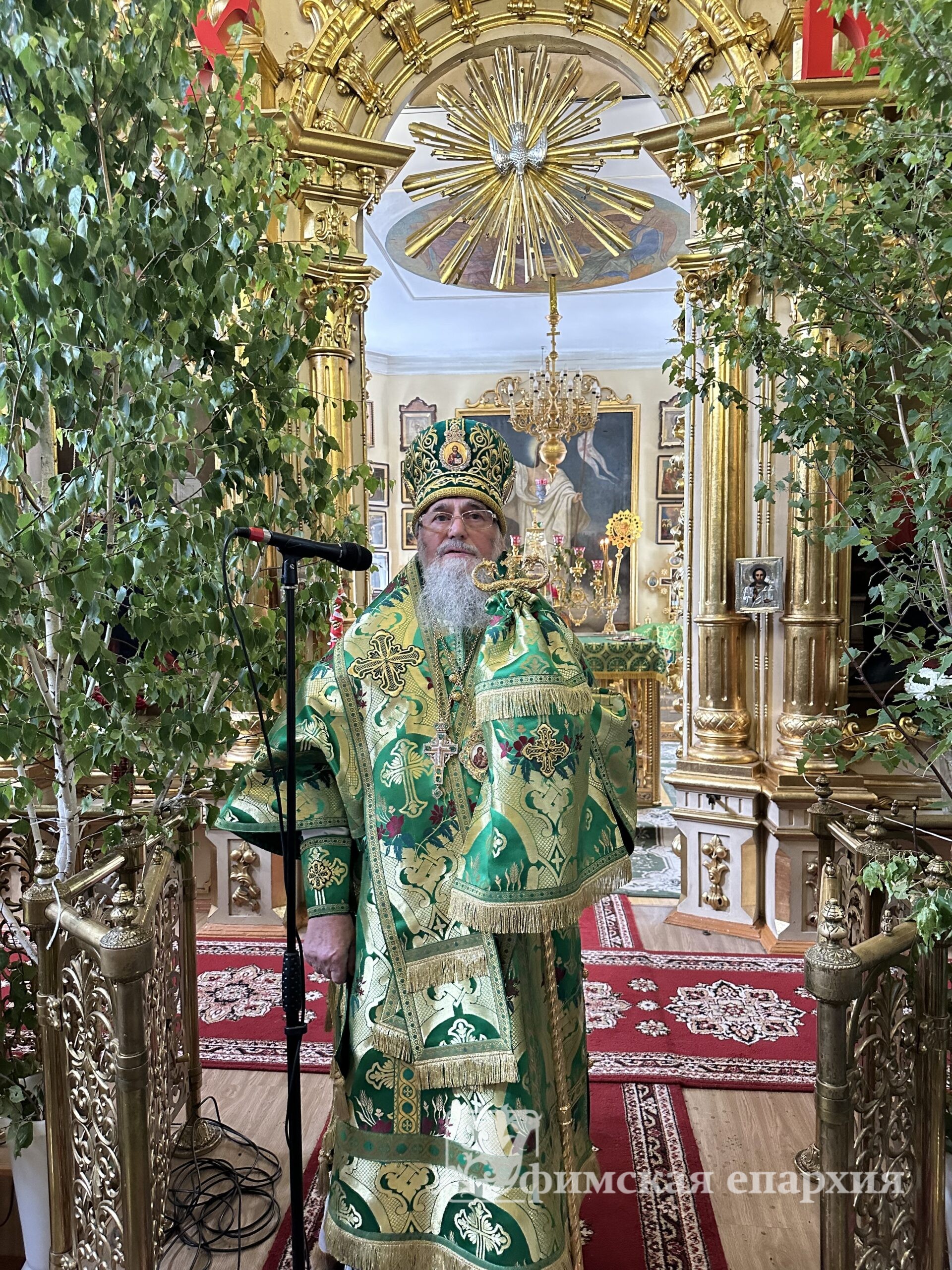 Служение митр.Никона в День Святого Духа: фото 5